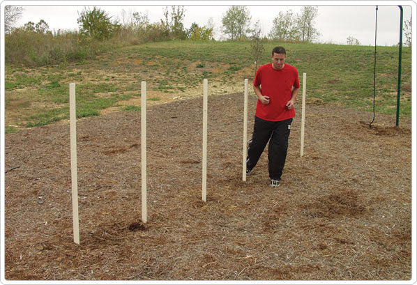 Agility 6 Poles Backyard Exercise Equipment by Sportsplay
